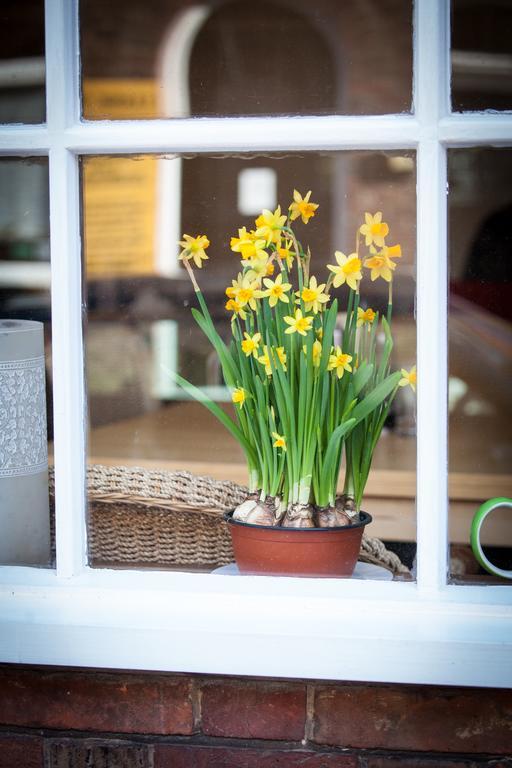 Hayden's B&B Rye Dış mekan fotoğraf